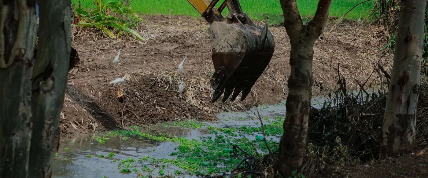 Expert dredging & restoration